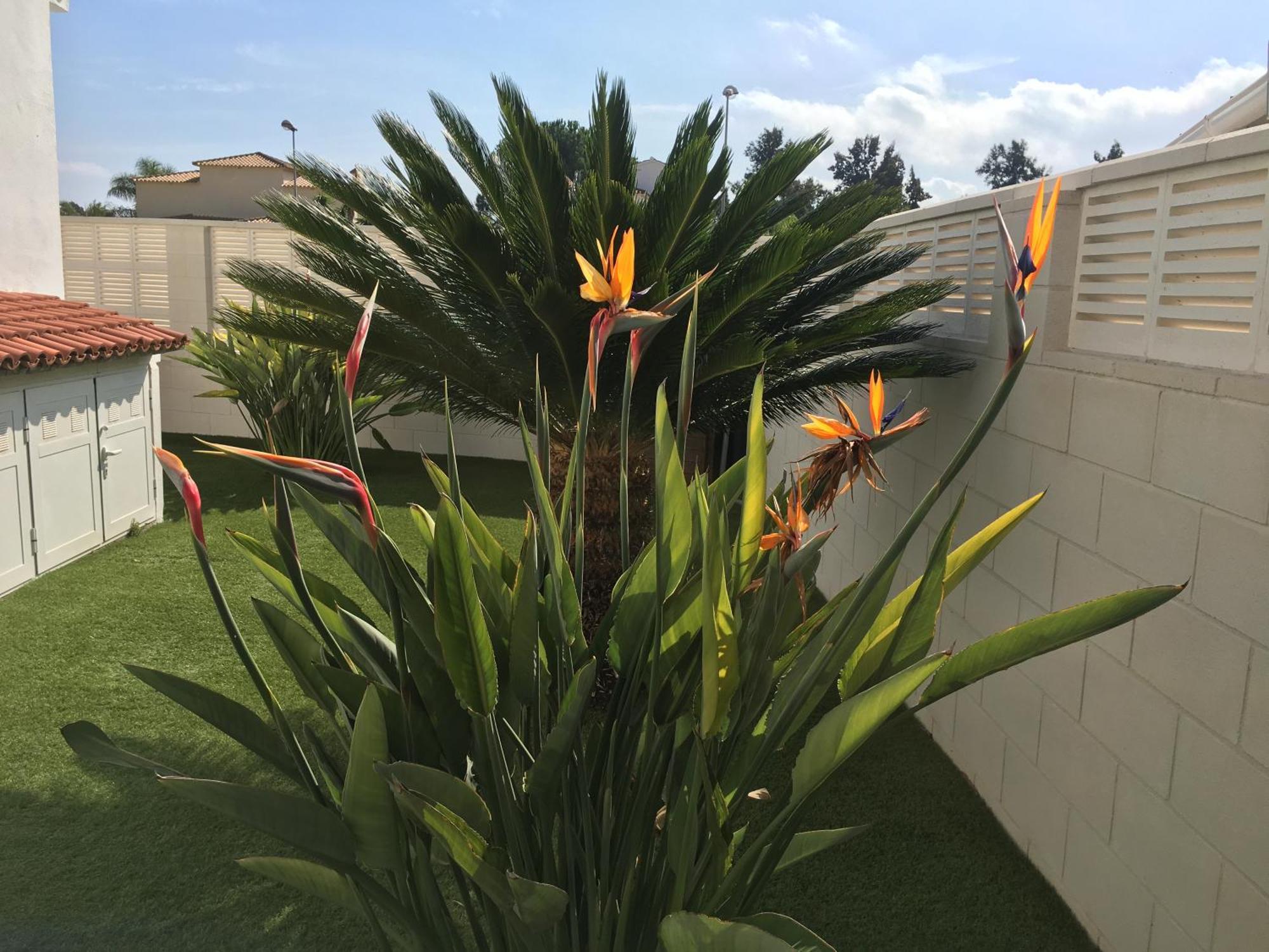 Holiday home Frente Al Mar - Rosales Oliva